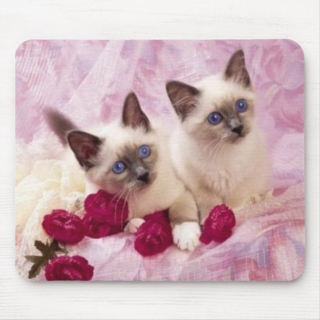 Mousepad gatinhos siamese (Frente)