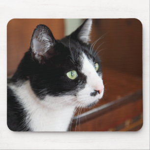 Mousepad Gato