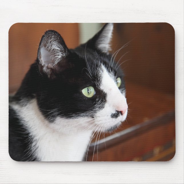 Mousepad Gato (Frente)