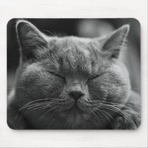 Mousepad gato