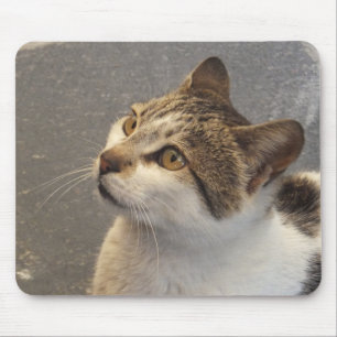 Mousepad Gato