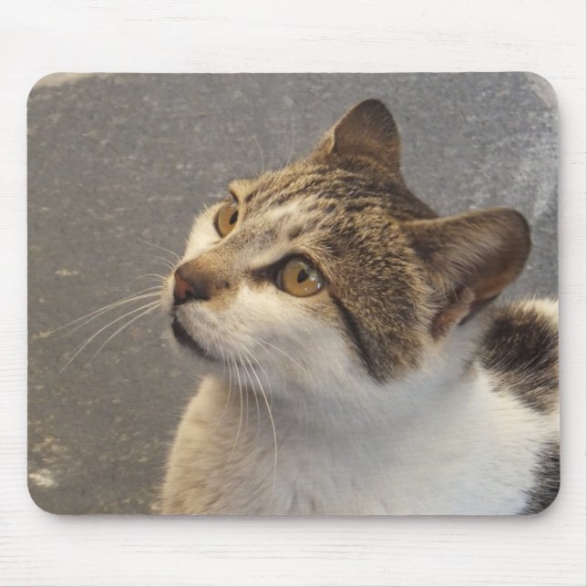 Mousepad Gato (Frente)