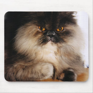 Mousepad Gato