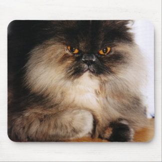 Mousepad Gato