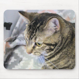 Mousepad Gato