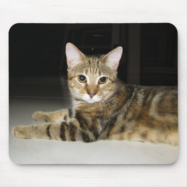 Mousepad Gato (Frente)