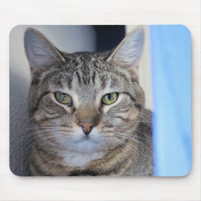 Mousepad Gato (Frente)