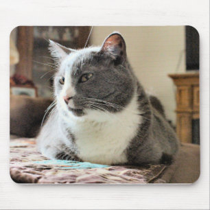 Mousepad Gato