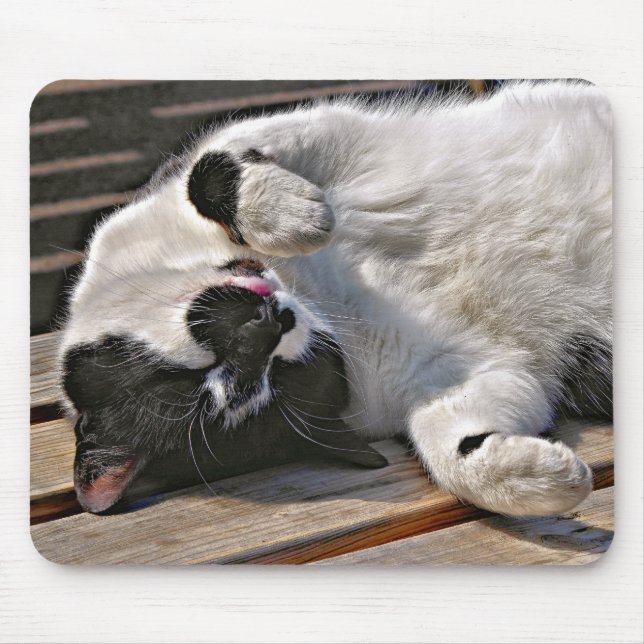 MOUSEPAD GATO (Frente)