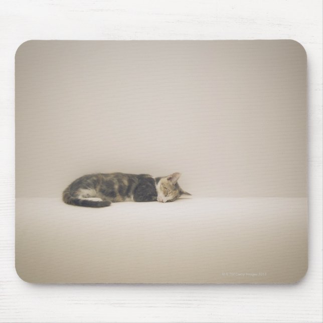 Mousepad Gato adormecido (Frente)