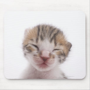 Mousepad Gato adormecido