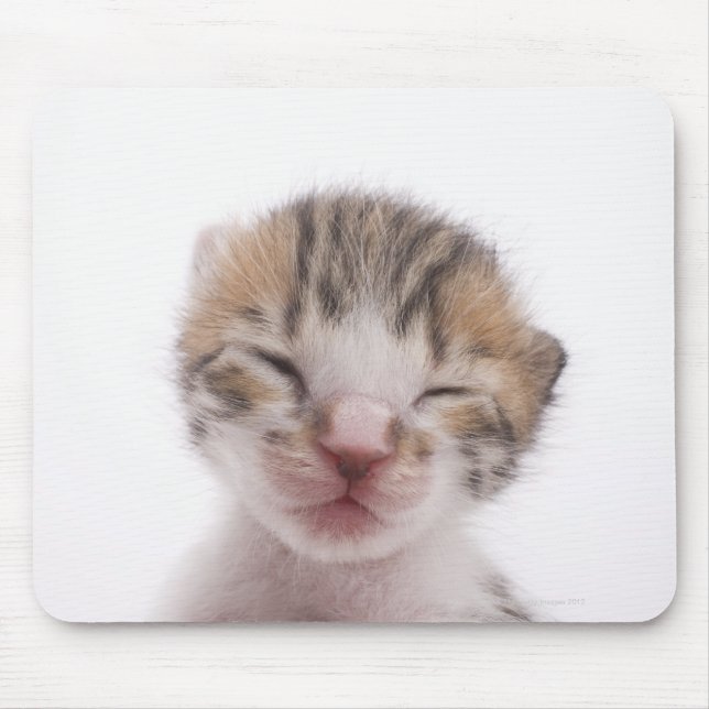 Mousepad Gato adormecido (Frente)