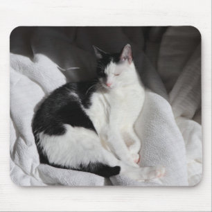 Mousepad Gato Adormecido Preto e Branco/Adicione a Foto do