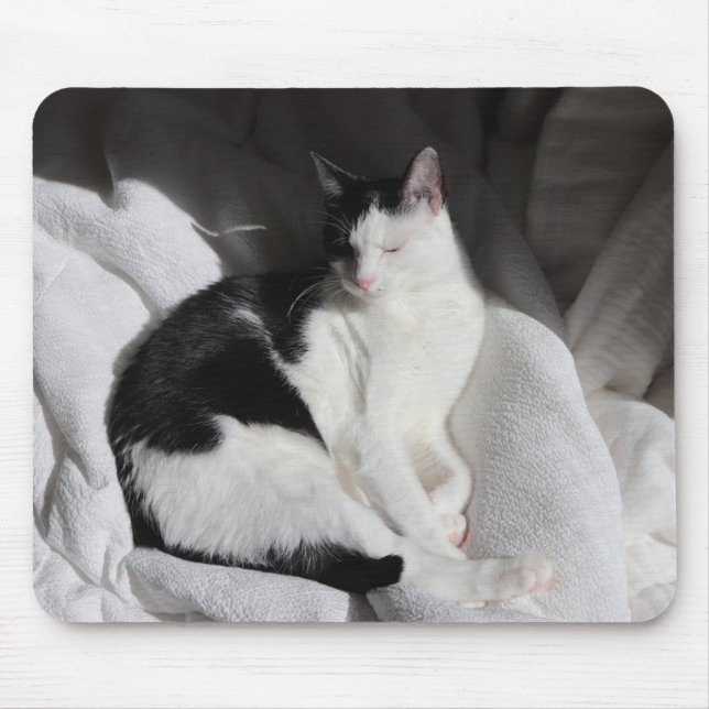 Mousepad Gato Adormecido Preto e Branco/Adicione a Foto do  (Frente)