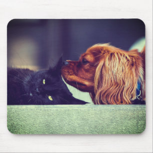 Mousepad Gato, Animal, Kitten