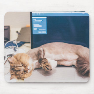 Mousepad Gato, Animal, Pet