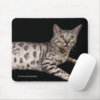 Mousepad Gato Bengali Bonito Relaxando no Condomínio