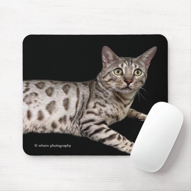 Mousepad Gato Bengali Bonito Relaxando no Condomínio (Com mouse)