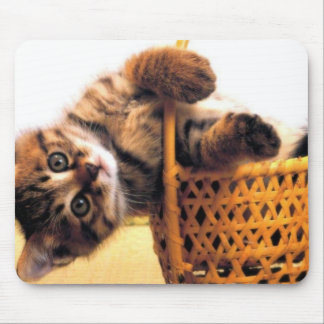 Mousepad Gato bonito