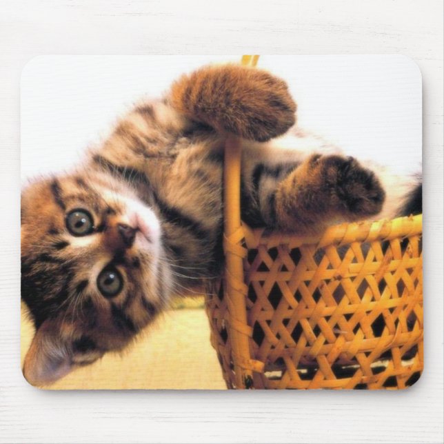 Mousepad Gato bonito (Frente)