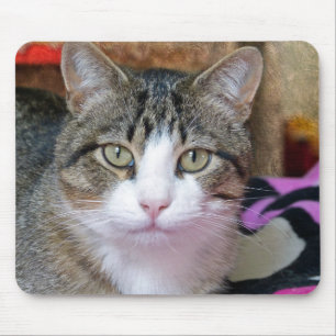 Mousepad Gato Bonito