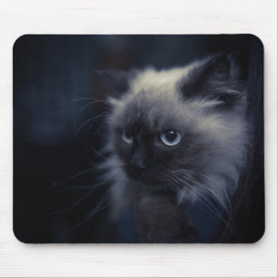 Mousepad Gato bonito