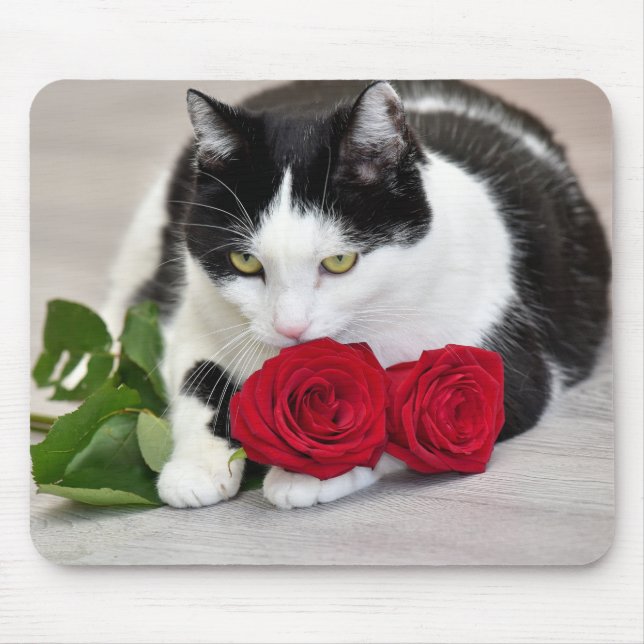 Mousepad Gato bonito com a rosa vermelha (Frente)