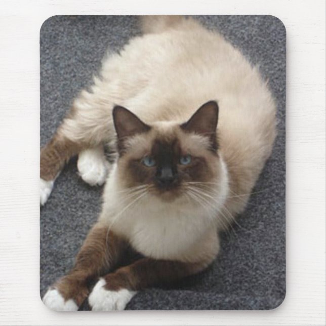 Mousepad Gato bonito de Birman (Frente)