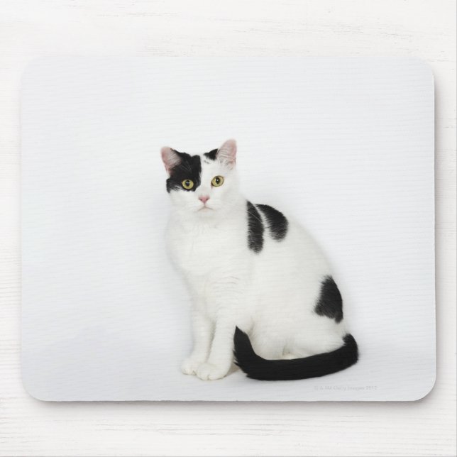 Mousepad Gato branco com manchas pretas (Frente)