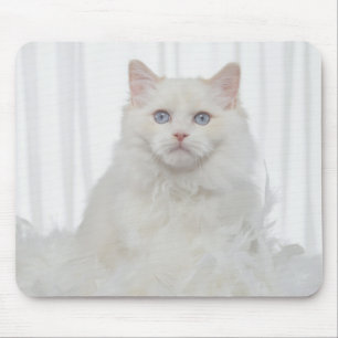Mousepad Gato branco com penas