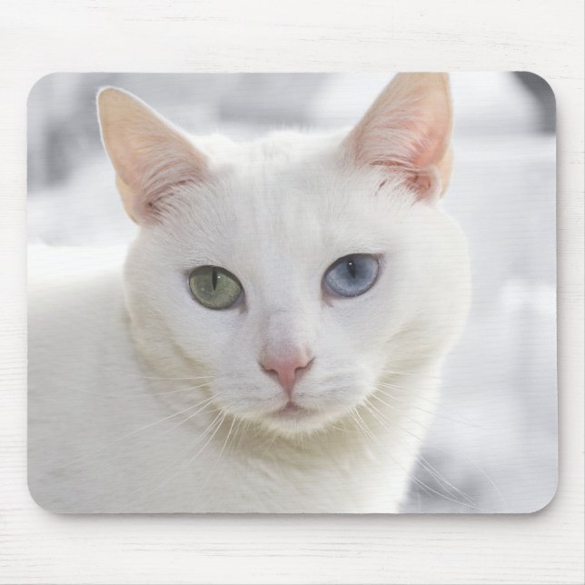 Mousepad gato branco de olhos estranhos se aproxima da face (Frente)