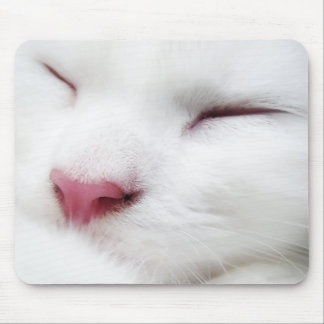 Mousepad Gato Branco Gato Dormindo Rosto