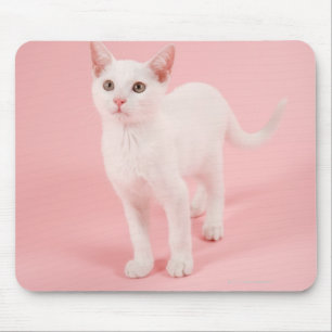 Mousepad Gato branco novo 2