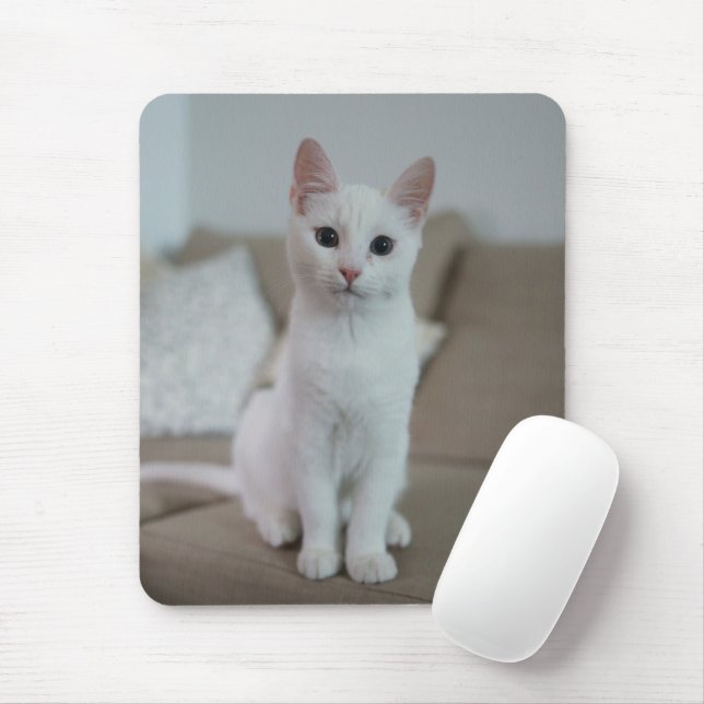 Mousepad Gato branco | Zazzle_Growth. (Com mouse)