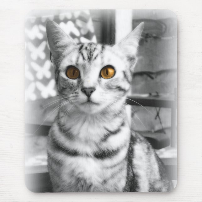 Mousepad Gato Cheeky (Frente)