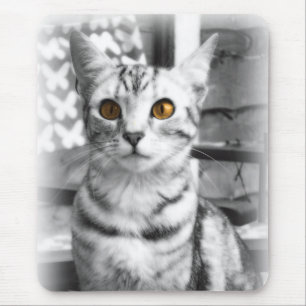 Mousepad Gato Cheio
