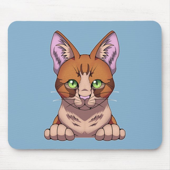 Mousepad Gato Cinto (Frente)