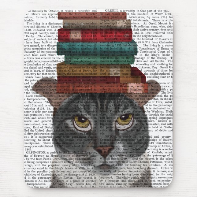 Mousepad Gato cinza com Livros na Cabeça (Frente)