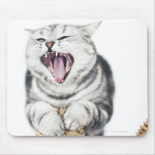 Mousepad gato cinzento no fundo branco
