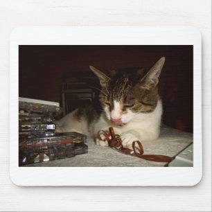 Mousepad Gato com fome para gavetas