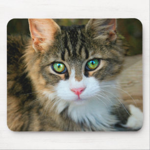 Mousepad Gato com olhos verdes