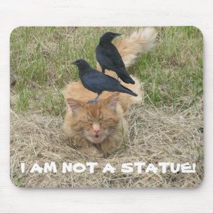 Mousepad Gato da estátua?