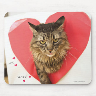 Mousepad Gato da galã