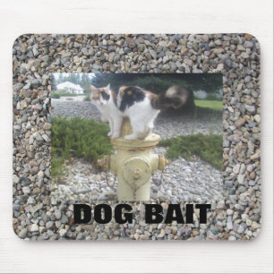 Mousepad Gato da isca do cão em uma boca de incêndio