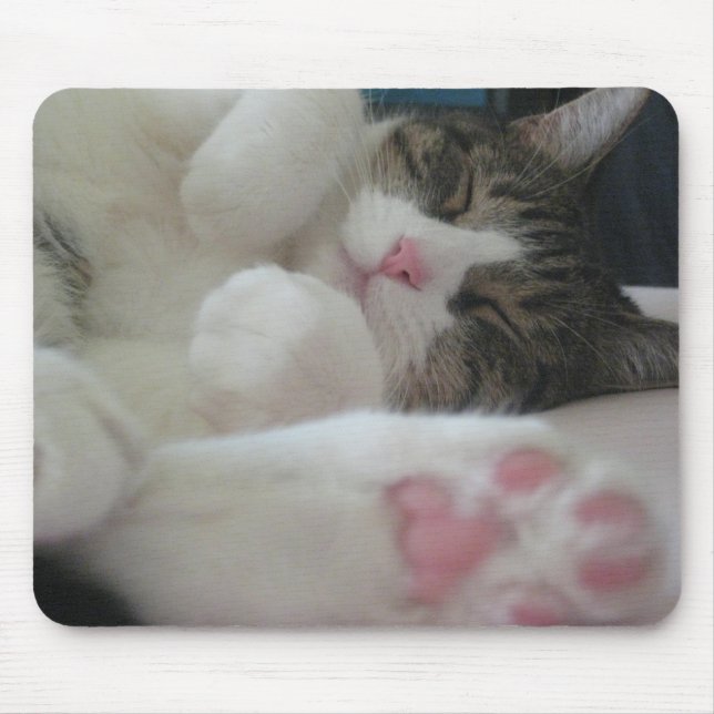 Mousepad Gato de Bootsie (Frente)