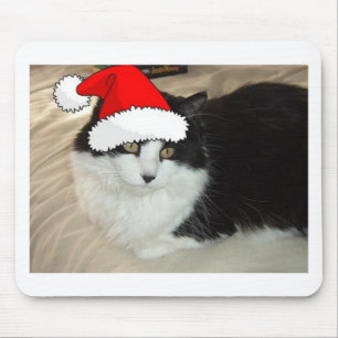 Mousepad Gato de cabelos compridos preto e branco