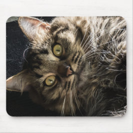 Mousepad Gato de Flauffy Tabby