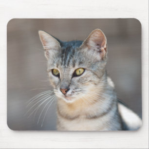 Mousepad Gato de gato malhado