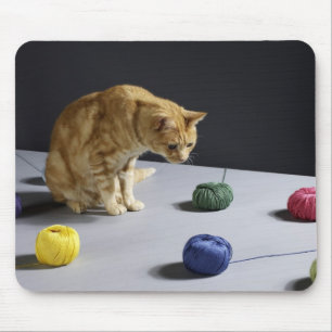 Mousepad Gato de gato malhado do gengibre que senta-se na