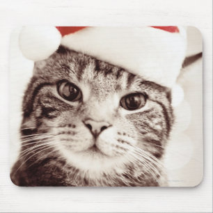 Mousepad Gato de gato malhado doméstico que veste o chapé